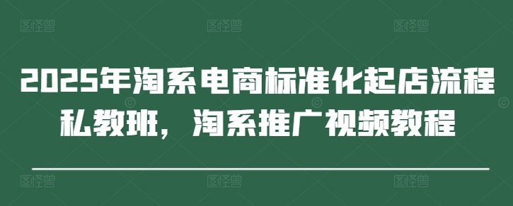 2025年淘系电商标准化起店流程私教班，淘系推广视频教程 - 创享网-创享网