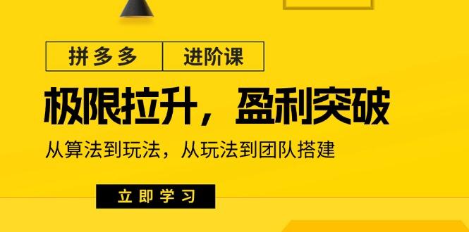 拼多多·进阶课：极限拉升/盈利突破：从算法到玩法 从玩法到团队搭建-18节 - 创享网-创享网