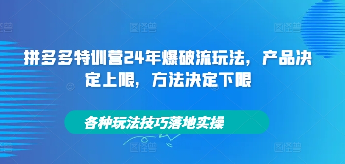 拼多多特训营24年爆破流玩法，产品决定上限，方法决定下限，各种玩法技巧落地实操 - 创享网-创享网