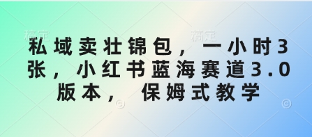 私域卖壮锦包，一小时3张，小红书蓝海赛道3.0版本， 保姆式教学 - 创享网-创享网