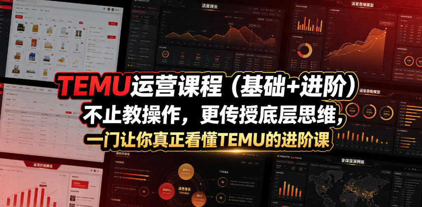 TEMU运营课程(基础+进阶)，不止教操作，更传授底层思维，一门让你真正看懂TEMU的进阶课-创享网