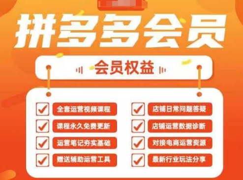 2025拼多多运营实战课，40节全流程教学，覆盖拼多多运营全链路 - 创享网-创享网