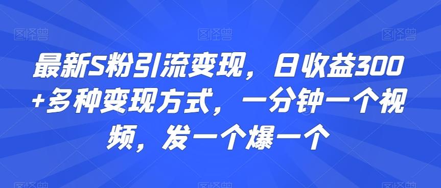 最新S粉引流变现，日收益300+多种变现方式，一分钟一个视频，发一个爆一个【揭秘】 - 创享网-创享网