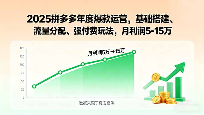 2025拼多多年度爆款运营,基础搭建、流量分配、强付费玩法,月利润5-15万-创享网