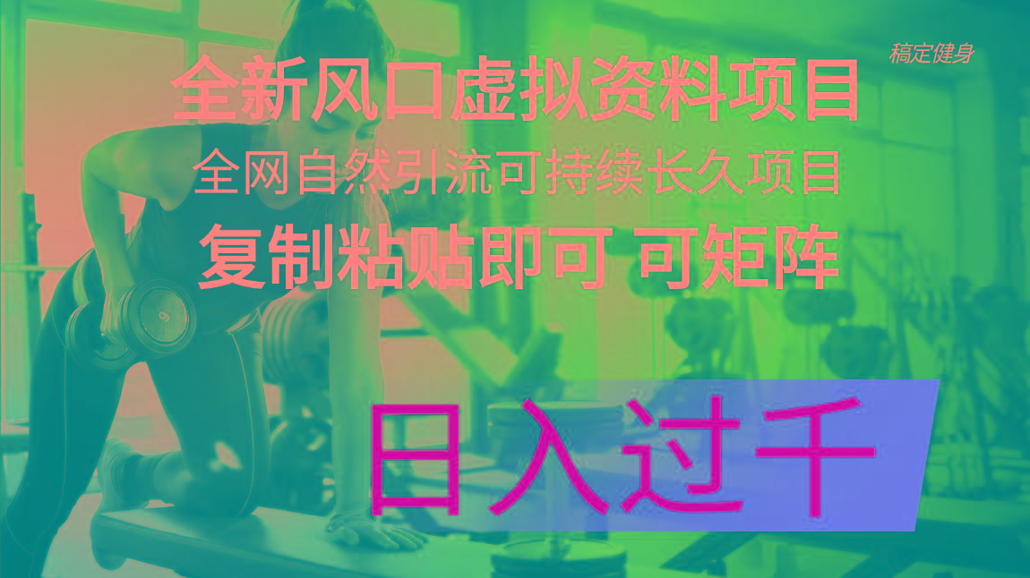 全新风口虚拟资料项目 全网自然引流可持续长久项目 复制粘贴即可可矩阵... - 创享网-创享网