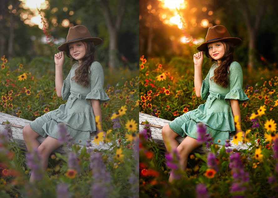 大师级GTG出品-老友记系列AI自适应预设The Friends Preset Collection - 创享网-创享网