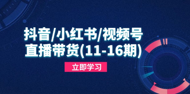 抖音/小红书/视频号/直播带货(11-16期 - 创享网-创享网