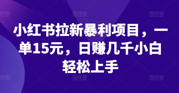 小红书拉新暴利项目，一单15元，日赚几千小白轻松上手【揭秘】 - 创享网-创享网