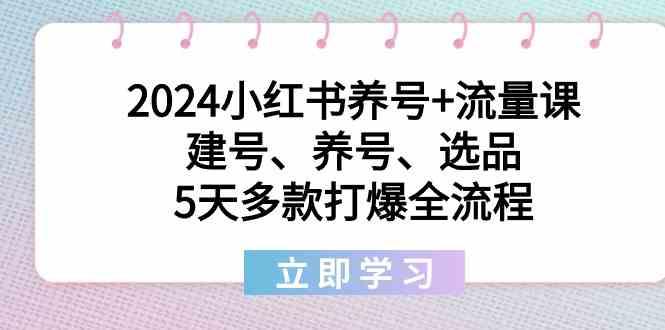 2024小红书养号+流量课：建号、养号、选品，5天多款打爆全流程 - 创享网-创享网