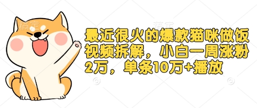 最近很火的爆款猫咪做饭视频拆解，小白一周涨粉2万，单条10万+播放(附保姆级教程) - 创享网-创享网