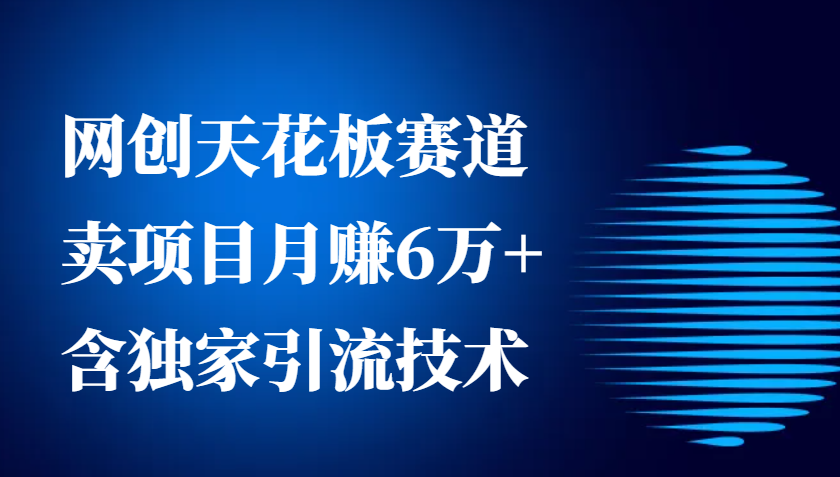 网创天花板赛道，卖项目月赚6万+，含独家引流技术(共26节课) - 创享网-创享网
