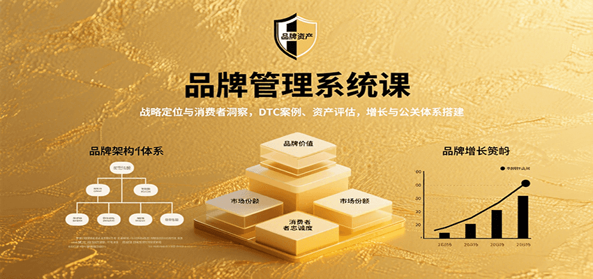 品牌管理系统课：战略定位与消费者洞察，DTC案例、资产评估，增长与公关体系搭建 - 创享网-创享网