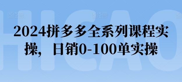 2024拼多多全系列课程实操，日销0-100单实操【必看】 - 创享网-创享网