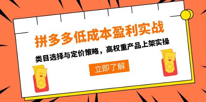 拼多多低成本盈利实战，类目选择与定价策略，高权重产品上架实操 - 创享网-创享网