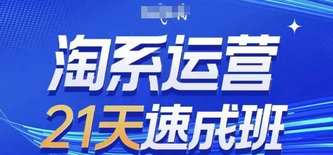 淘系运营21天速成班(更新24年7月)，0基础轻松搞定淘系运营，不做假把式 - 创享网-创享网