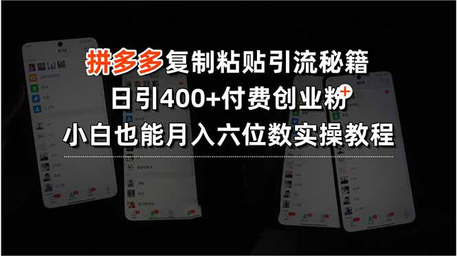 拼多多复制粘贴引流秘籍，日引400+付费创业粉，小白也能月入六位数实操… - 创享网-创享网