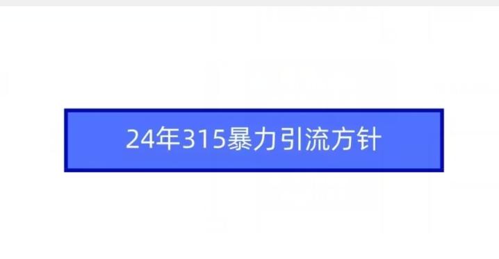 24年315暴力引流方针 - 创享网-创享网