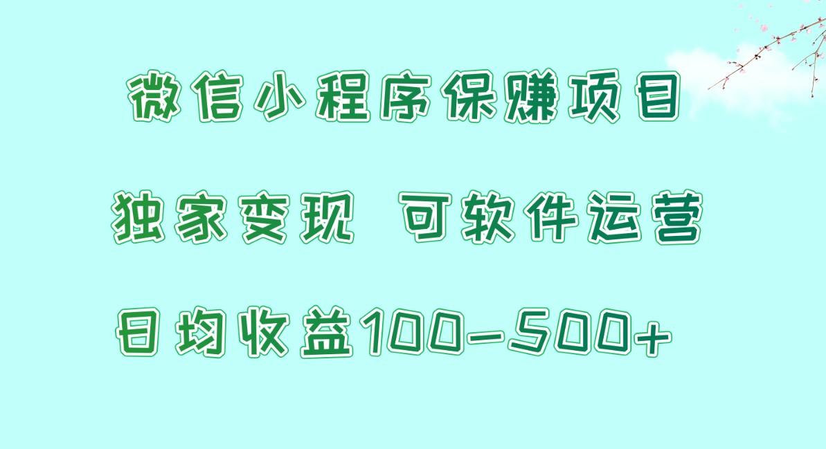 微信小程序保赚项目，日均收益100~500+，独家变现，可软件运营 - 创享网-创享网
