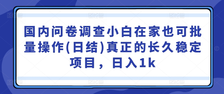 国内问卷调查小白在家也可批量操作(日结)真正的长久稳定项目，日入1k【揭秘】 - 创享网-创享网