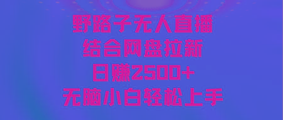 无人直播野路子结合网盘拉新，日赚2500+多平台变现，小白无脑轻松上手操作 - 创享网-创享网