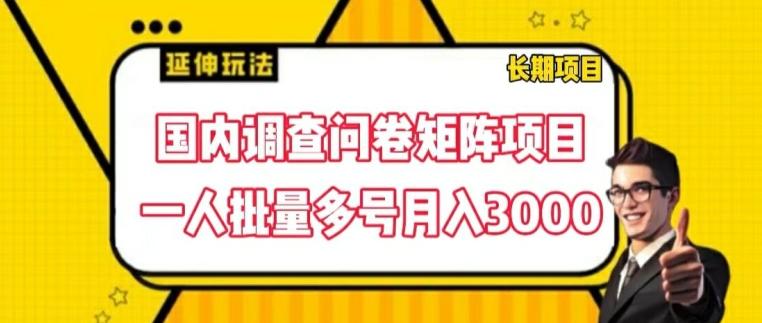 国内调查问卷矩阵项目，一人批量多号月入3000【揭秘】 - 创享网-创享网