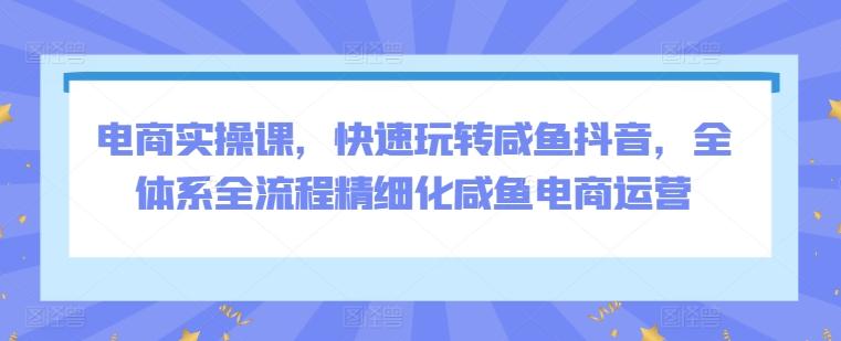 电商实操课，快速玩转咸鱼抖音，全体系全流程精细化咸鱼电商运营 - 创享网-创享网