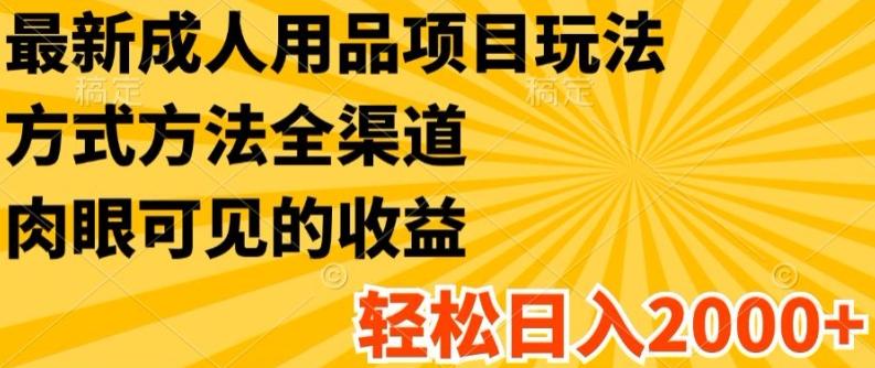 最新成人用品项目玩法，方式方法全渠道，轻松日入2K+【揭秘】 - 创享网-创享网