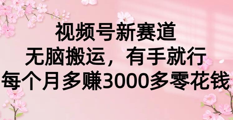 (9278期)视频号新赛道，无脑搬运，有手就行，每个月多赚3000多零花钱 - 创享网-创享网