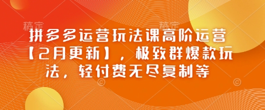 拼多多运营玩法课高阶运营【2月更新】，极致群爆款玩法，轻付费无尽复制等 - 创享网-创享网