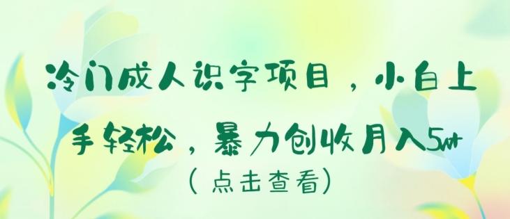 冷门成人识字项目，小白上手轻松，暴力创收月入5w+【揭秘】 - 创享网-创享网