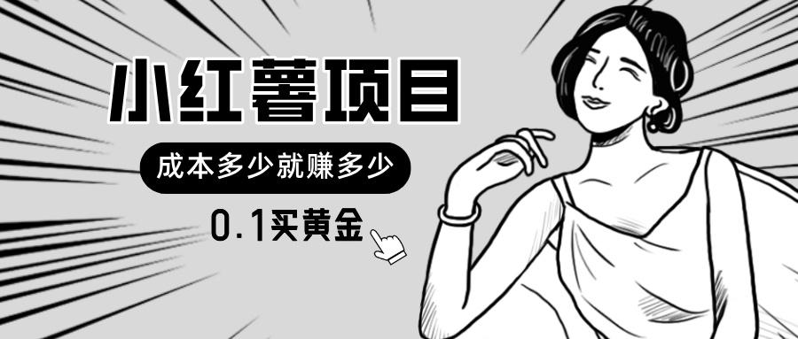 小红薯暴力项目，0.1买黄金。操作简单，日入无上限，可无限扩大。 - 创享网-创享网