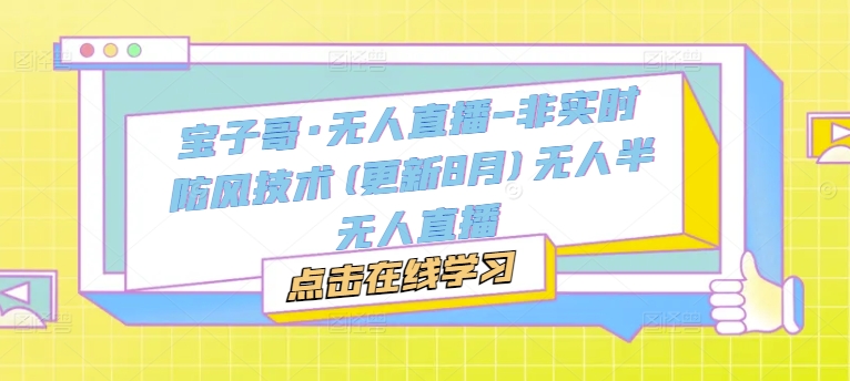 宝子哥·无人直播-非实时防风技术(更新8月)无人半无人直播 - 创享网-创享网