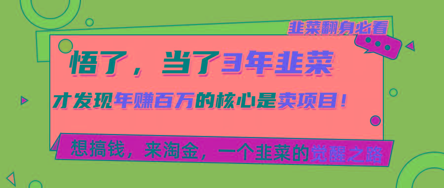 悟了，当了3年韭菜，才发现网赚圈年赚100万的核心是卖项目，含泪分享！ - 创享网-创享网