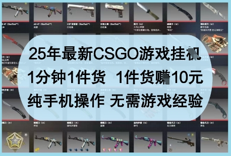 25年最新CSGO游戏挂G，1分钟1件货，1件货挣10元，纯手机操作，无需游戏经验【揭秘】 - 创享网-创享网