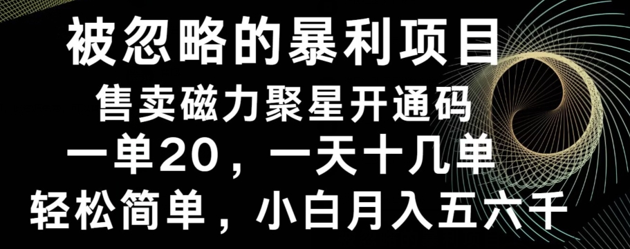 被忽略的暴利项目！售卖磁力聚星开通码，一单20，一天十几单，轻松月入五六千 - 创享网-创享网
