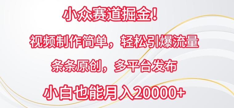 小众赛道掘金，视频制作简单，轻松引爆流量，条条原创，多平台发布【揭秘】 - 创享网-创享网