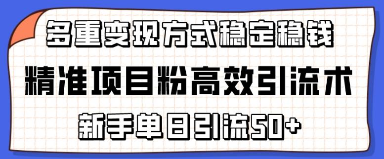 精准项目粉高效引流术，新手单日引流50+，多重变现方式稳定赚钱【揭秘】 - 创享网-创享网