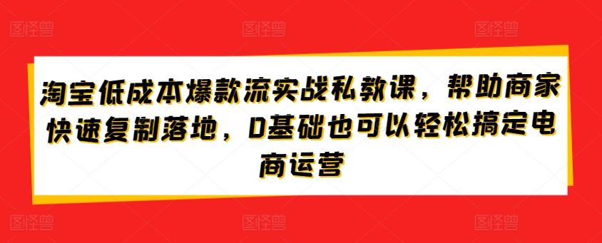 淘宝低成本爆款流实战私教课，帮助商家快速复制落地，0基础也可以轻松搞定电商运营 - 创享网-创享网