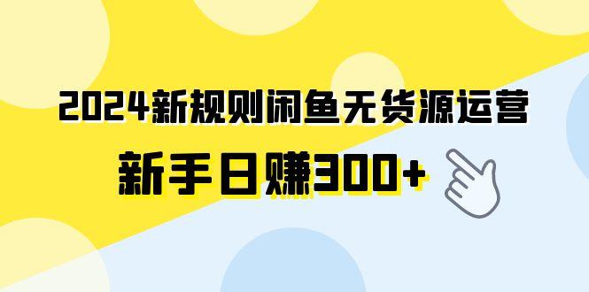 (9522期)2024新规则闲鱼无货源运营新手日赚300+ - 创享网-创享网