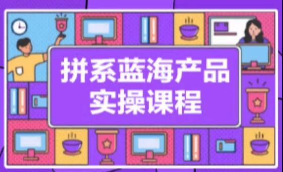 拼系冷门蓝海产品实操课程，从注册店铺到选品上架到流量维护环环相扣 - 创享网-创享网
