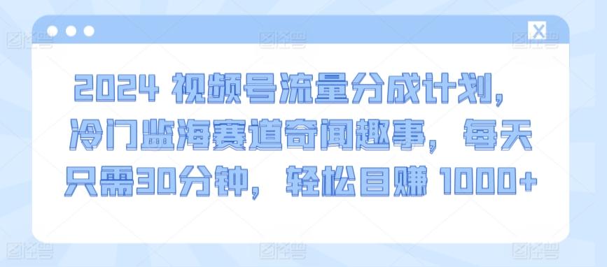 2024视频号流量分成计划，冷门监海赛道奇闻趣事，每天只需30分钟，轻松目赚 1000+【揭秘】 - 创享网-创享网