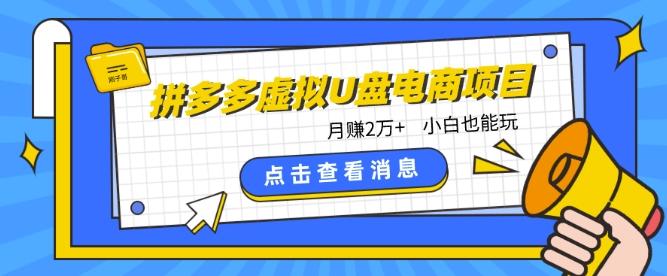 拼多多虚拟U盘电商红利项目：月赚2万+，新手小白也能玩 - 创享网-创享网