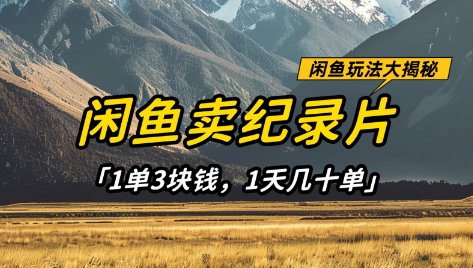 闲鱼卖纪录片1单3块钱，1天几十单，项目稳定有潜力 - 创享网-创享网