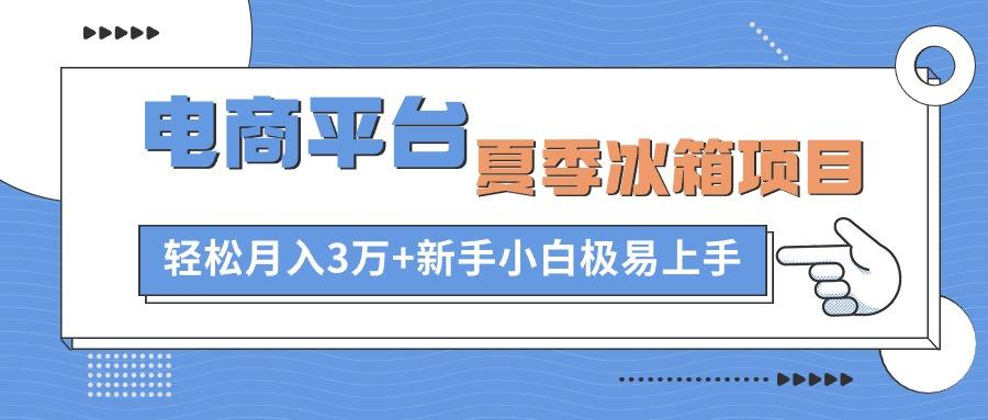 电商平台夏季冰箱项目，轻松月入3万+，新手小白极易上手 - 创享网-创享网