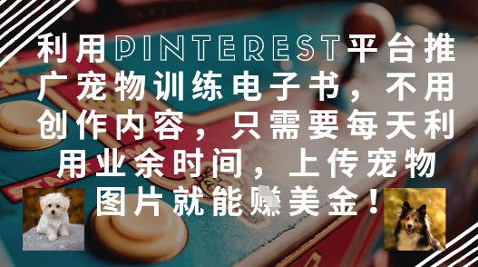利用Pinterest平台推广宠物训练电子书，不用创作内容，只需要每天利用业余时间，上传宠物图片就能挣美金! - 创享网-创享网