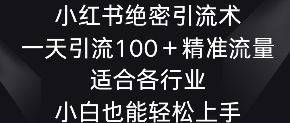 小红书绝密引流术，一天引流100+精准流量，适合各个行业，小白也能轻松上手【揭秘】 - 创享网-创享网