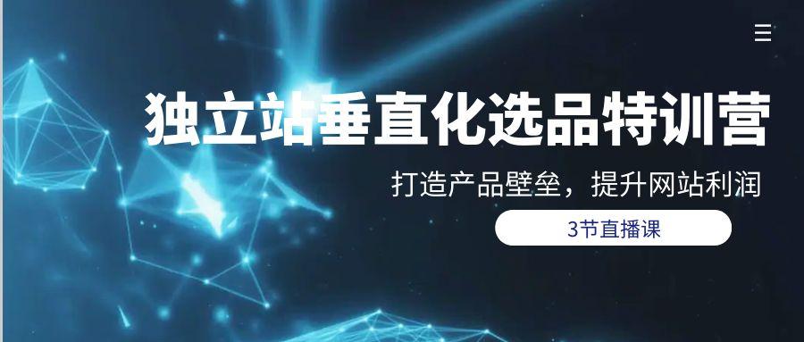 (9925期)独立站-垂直化选品训练营，打造产品壁垒，提升网站利润(3节直播课) - 创享网-创享网