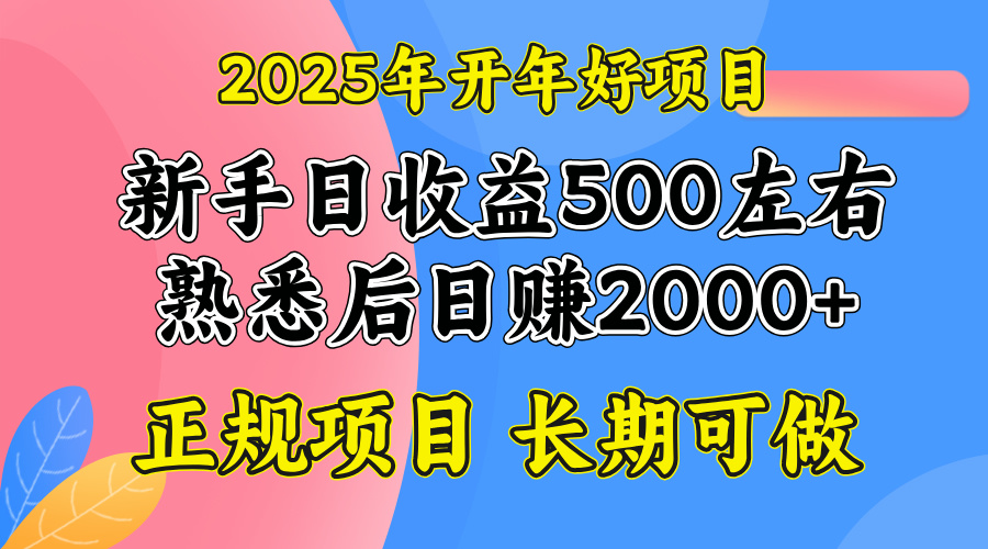 2025开年好项目，单号日收益2000左右 - 创享网-创享网