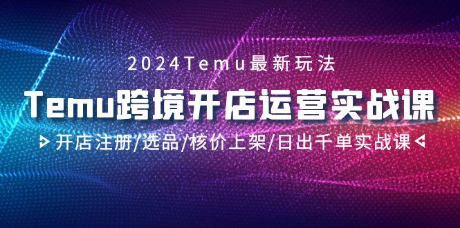 2024Temu跨境开店运营实战课，开店注册/选品/核价上架/日出千单实战课 - 创享网-创享网
