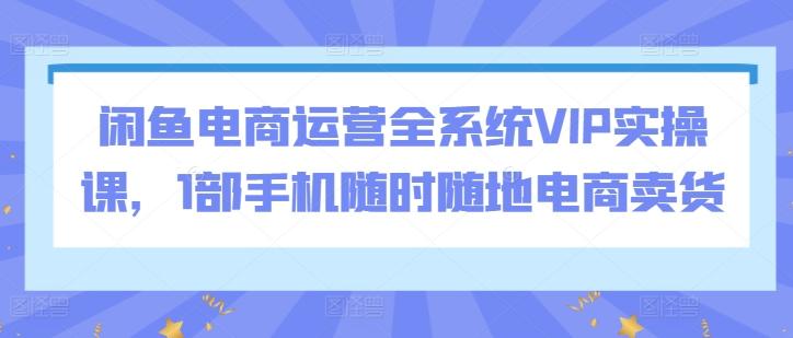 闲鱼电商运营全系统VIP实操课，1部手机随时随地电商卖货 - 创享网-创享网